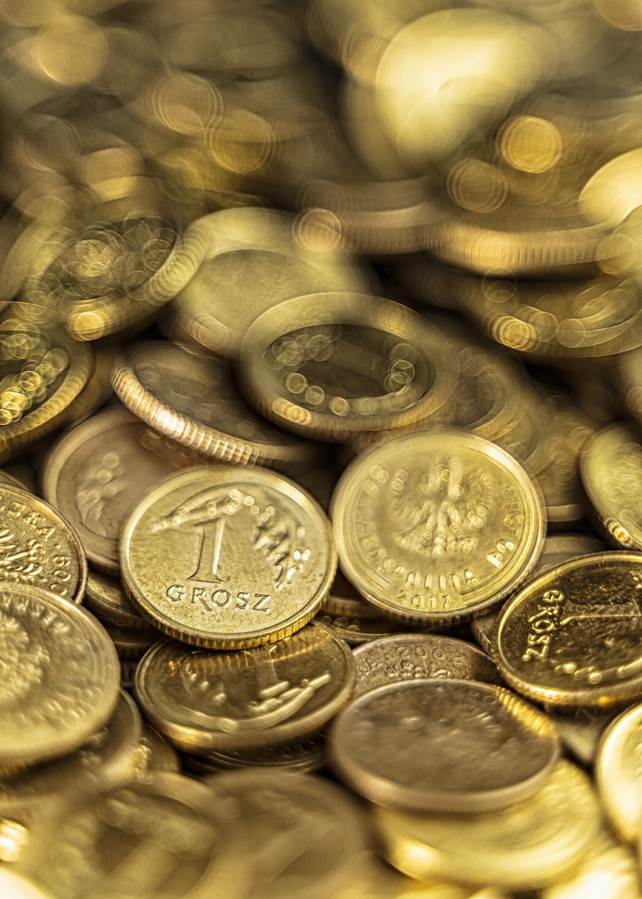 polish currency, coins, pennies, money, currency, cash, finances, investment